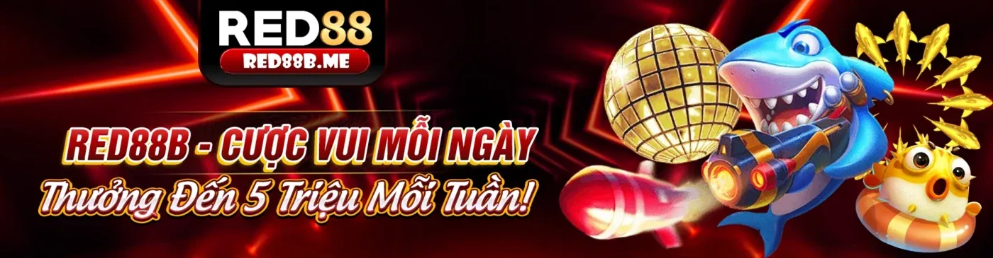 Quy định pháp lý hm888