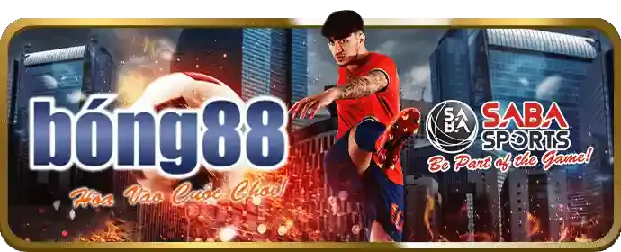 Tỷ lệ cược đá gà cạnh tranh và đa dạng